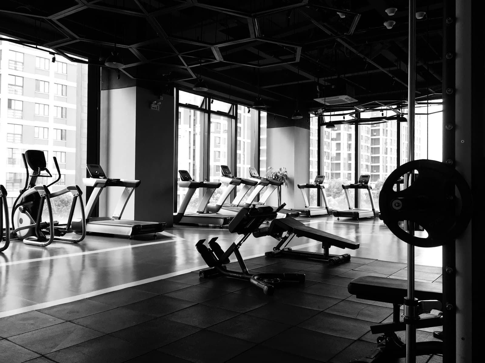 Forge Fitness preview
